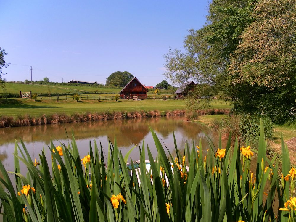 perfect fishing lake in the heart of dorset